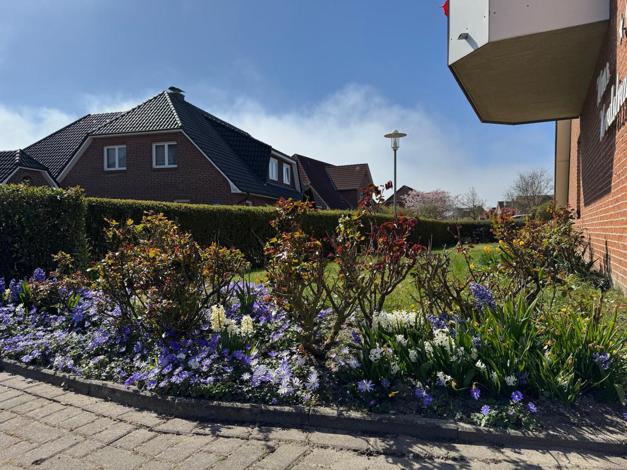 Haus Nordstrand Busum Bilik gambar